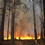 пожароопасный сезон