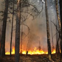 пожароопасный сезон