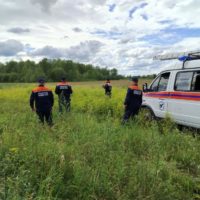 Поиск в лесу