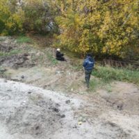 Короткая дорога