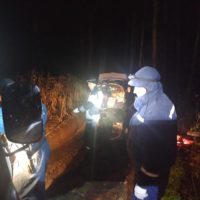 Эвакуация из леса